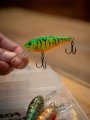 Salmo Rattlin Executor Clear Green Tiger SDR